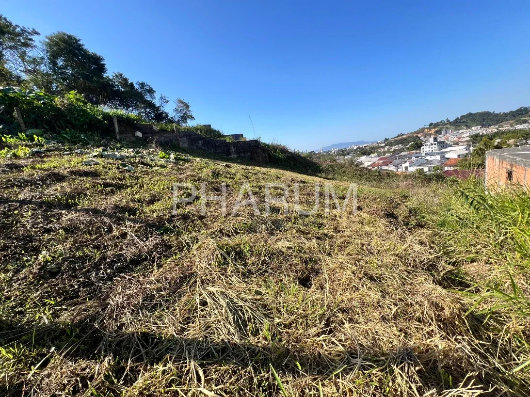 Terreno 390m² - Bela Vista