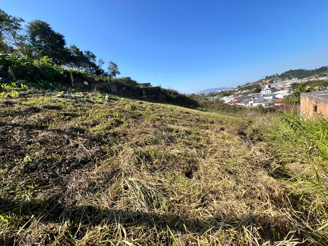 Terreno 390m² - Bela Vista