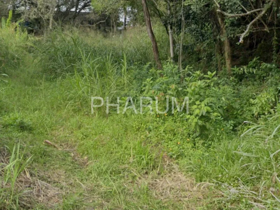 Terreno com 381m2 na Rua Aracua, Pantanal, Florianópolis/SC