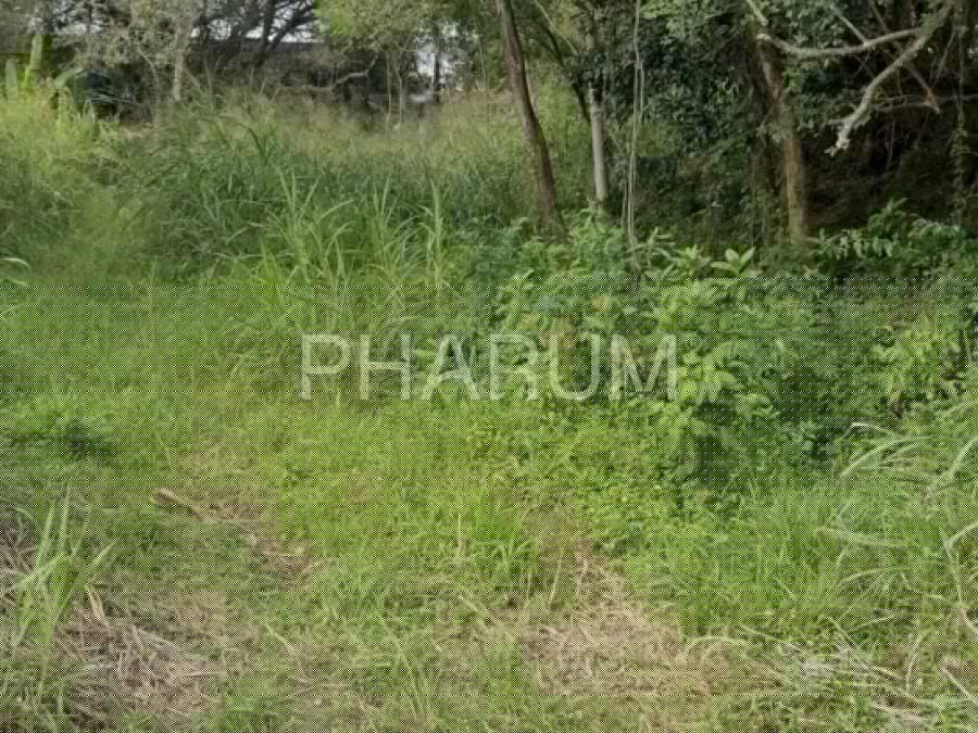 Terreno com 381m2 na Rua Aracua, Pantanal, Florianópolis/SC