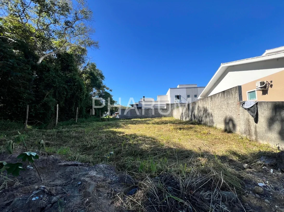 Terreno 239m² - Bela Vista