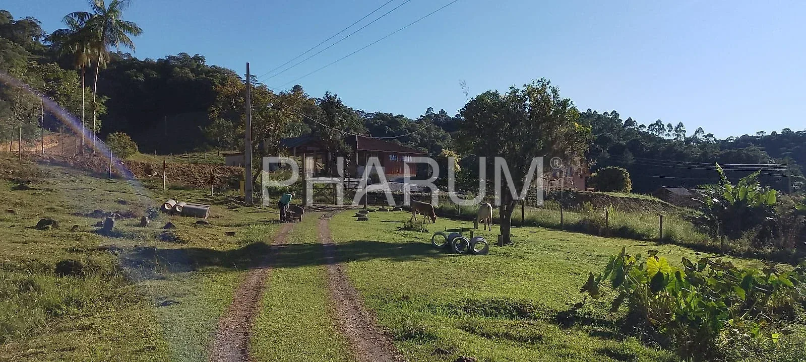 Sítio em Águas Mornas 2 hectares