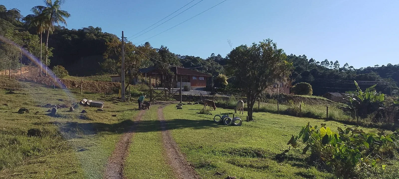 Sítio em Águas Mornas 2 hectares