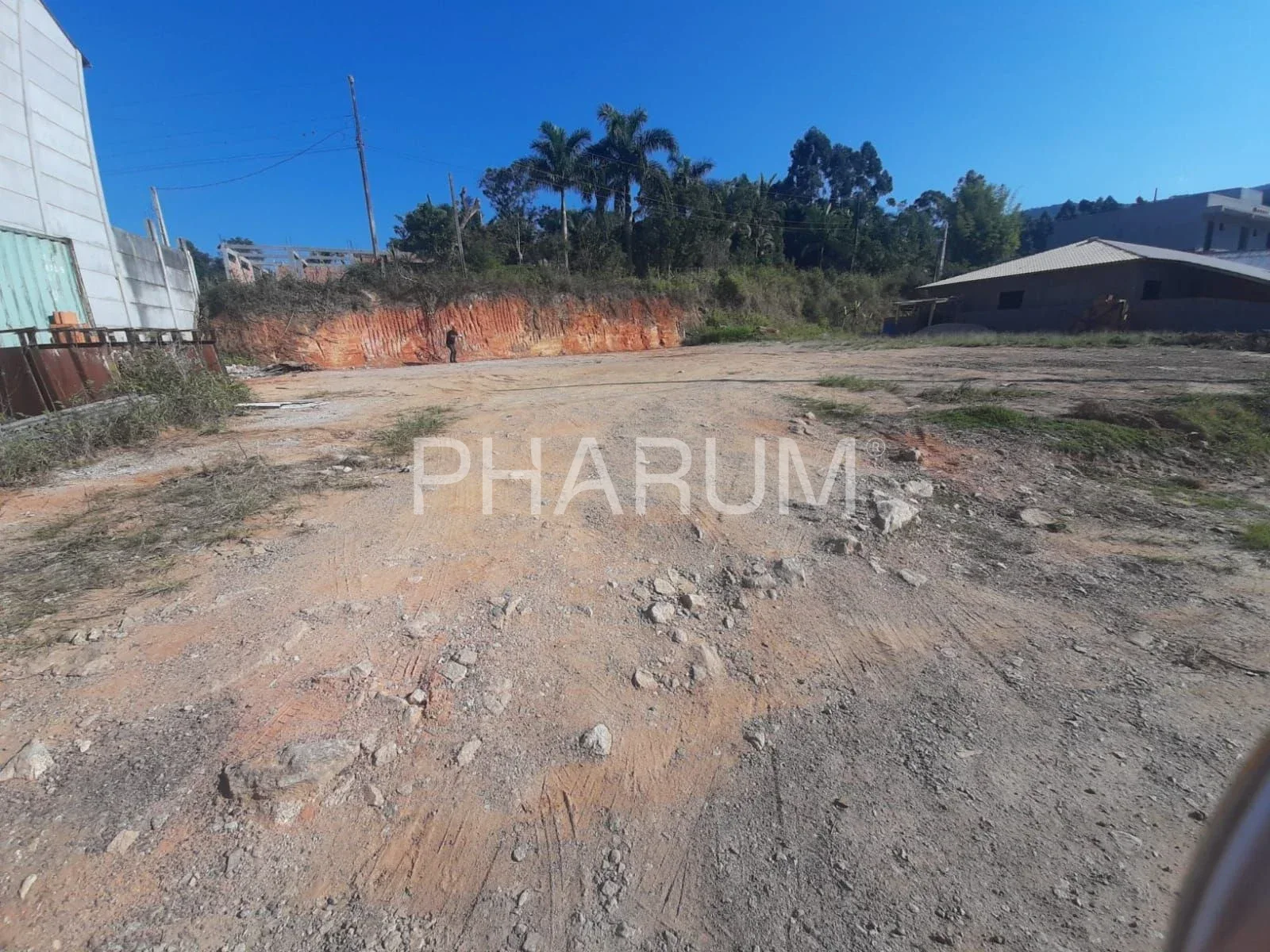 Terreno no Bela Vista à venda com 611m² | XP1782